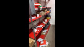 Aikos the Post Office cat found asleep after hour-long search