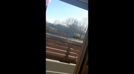 I went out on the balcony on my birthday. Music was playing. A green and shiny sphere was flying around me. My father, who died 6 years ago, probably visited me.