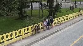 A BRIDGE TOO FUR: Cruel Mum Pushes Pet Dog Off Bridge In Front Of Kids