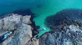 BETWEEN A ROCK AND A HARD PLAICE: Stranded Whale Rescued By Heroic Fishermen