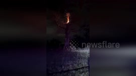 Tree Igniting Like Fireworks After Lightning Strike