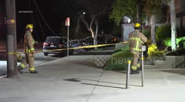 Large Tree and Wires Down on Multiple Cars in Lake Balboa, LA, USA