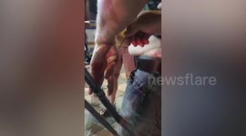 Belgian man with hand stabbed by metal wire rescued