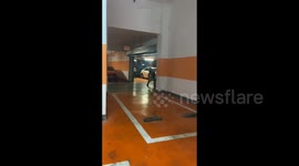 A man carrying two dogs in Hunan, China