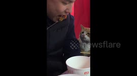 Man Shares Delicious Skewers with Stray Cat in Hunan, China