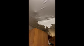 Mischievous Marta the cat makes ceiling masterpiece