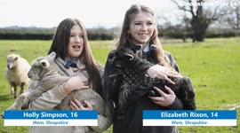 Rare twin lambs shock family after one is born black and the other white