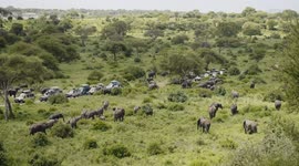 African safari. Many jeep cars stand in savannah and observe a herd of elephants in its natural habitat
