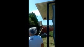 Wasp nest removal goes hilarious
