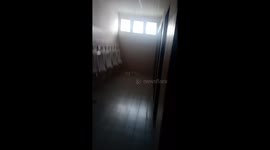 Owl stuck in university bathroom helped to safety