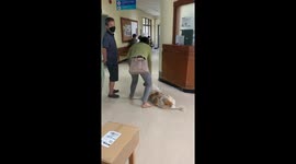 Pet dog sprawls on floor as it refuses to visit the vet