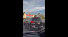 Monkey attacks car aerial antenna as vehicle waits in traffic