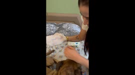 Doggy wipe reveals surprisingly dirty fur in Mexico