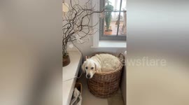 Where I Fits, I Sits