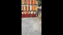 Squirrel Steals From Street Vendor in Mexico