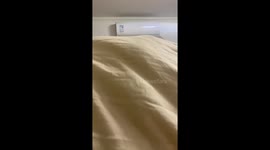 Adorable Game of Hide and Seek: Chinese Woman's Playtime with Her Cat