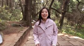 An American's love for ancient tree-enveloped Shudao in China's Sichuan