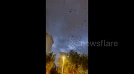 Sky Filled with Crows in Hinggan League, China