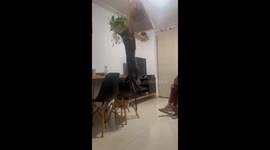 Cat's grocery heist: pounce for bread caught on camera