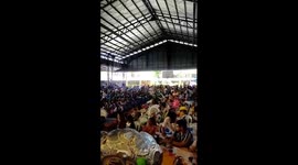 Boy wears golden bird costume during school pageant