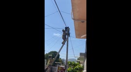 Firefighter saves cat stranded on power pole in Mexico
