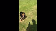temp