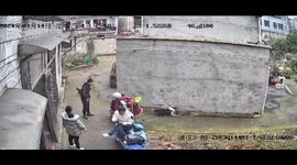 Border Collie Splatters Owner with Mud After Being Saved from Cesspit in Hunan, China