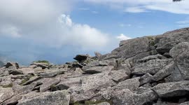 Many wild animals running and playing freely in Hanzhong, China