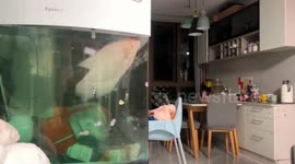 A woman playfully scares fish in an aquarium in Guangdong, China