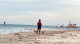Cardiac conditions a major killer on Australian beaches: report