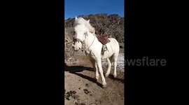 A 2-year-old holds a ladder to get on a horse in Xinjiang, China