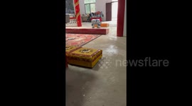 Cat Seeks Solace in Tranquil Temple in Jiangxi, China