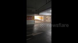 Inside an underground garage, two kittens are fighting fiercely in Suzhou, China