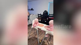 My twin daughters were born with albinism - people gawk at them in the street