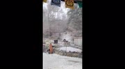 temp