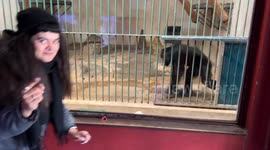 Incredible moment zoogoer forms bond with chimp by chasing it around enclosure