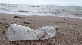 Plastic bottle abandoned on the beach of Minturno, Lazio region.