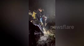 Abandoned Golden Retriever rescued by hikers from tall mountain