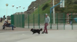 Skate & Dog