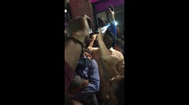 Spike Lee's Prince Tribute