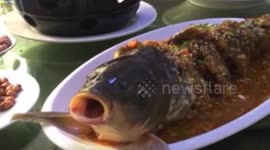 Cooked fish appears to come back to life after shot of alcohol