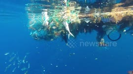 DUPLICATE Underwater footage of a huge abandoned fishing net in the ocean