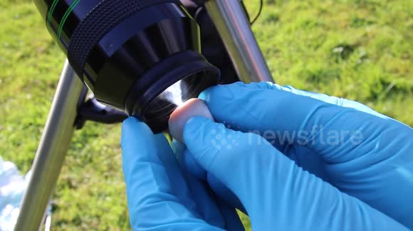 TV Astronomer shows dangers of staring at the sun with burning eye