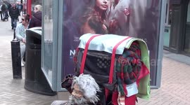 unusual ventriliquist