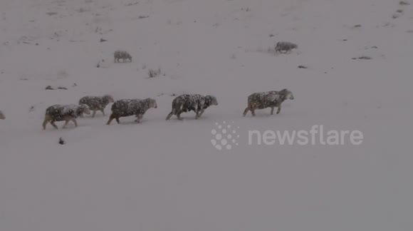 Heavy snow on Cumbria on Friday