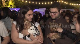 Argentina's Festival de Canes combines love of dogs and film