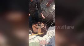 Excavator and drills used to rescue bull fall from 7-foot-deep ditch in central India