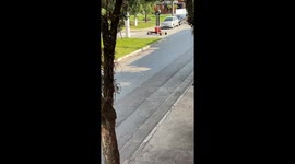 São Paulo rider makes delivery on all fours with hoverboard