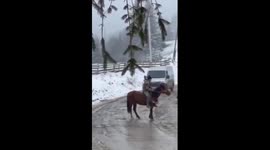 Man in Ukraine attacks recruiters with axe to save young man from summons