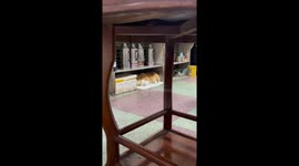 A Paw-sitively Excellent Employee: Dog's Dutiful Service in a Chinese Tea Shop